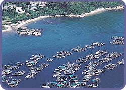 Sok Kwu Wan Fish Rafts
